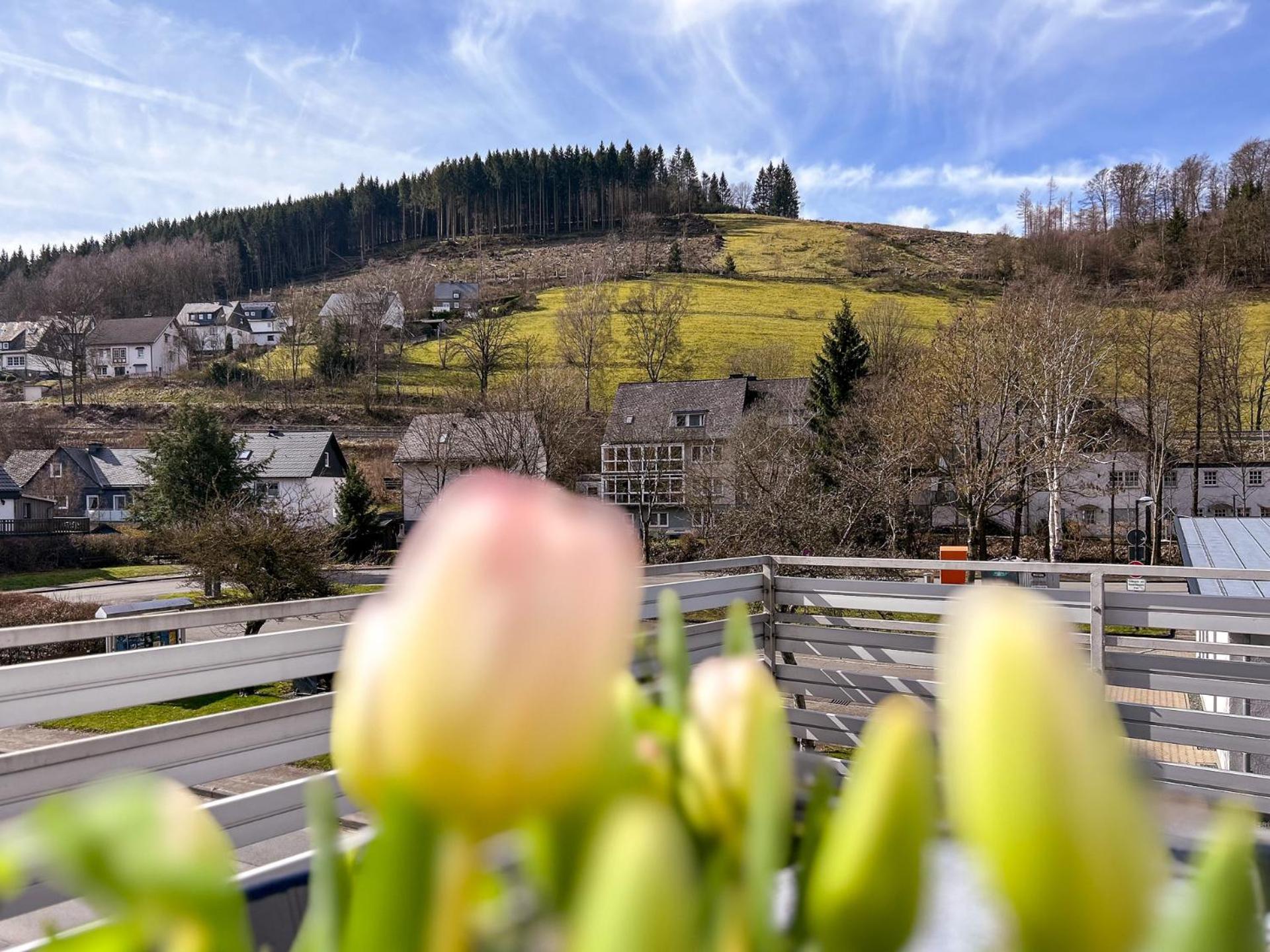 Silbach Panorama Winterberg